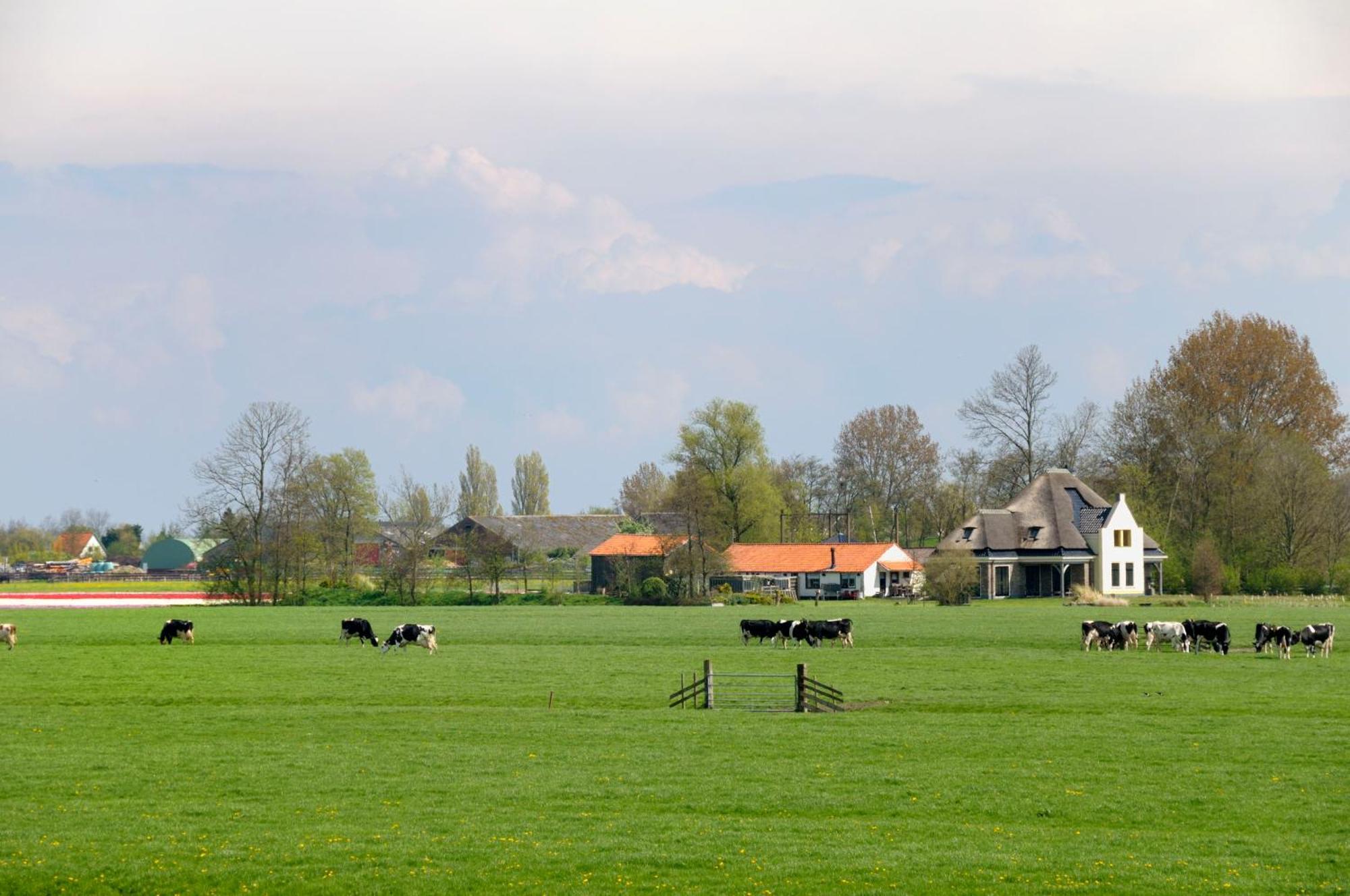 Hotelhuisjes Oosterleek Luaran gambar