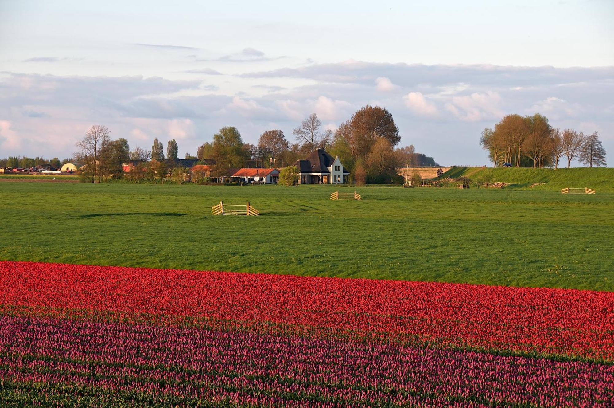 Hotelhuisjes Oosterleek Luaran gambar